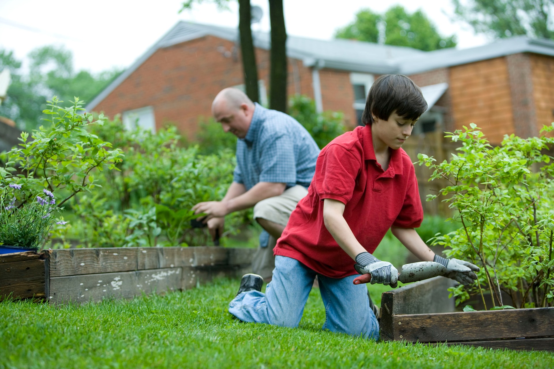 Commercial Grade Lawn Fertilizer